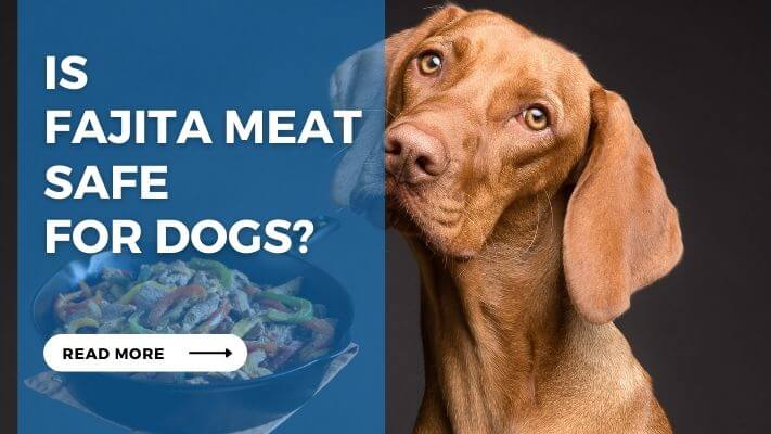 Is Fajita Meat Safe for Dogs