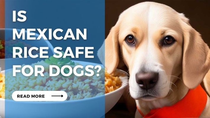 Is  Mexican  Rice Safe  for Dogs