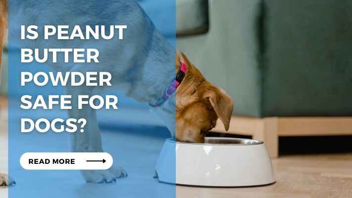 Is Peanut Butter Powder Safe for Dogs