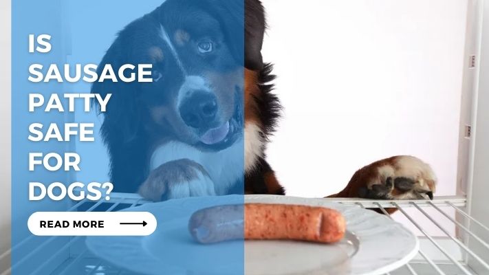 Is Sausage Patty Safe for Dogs