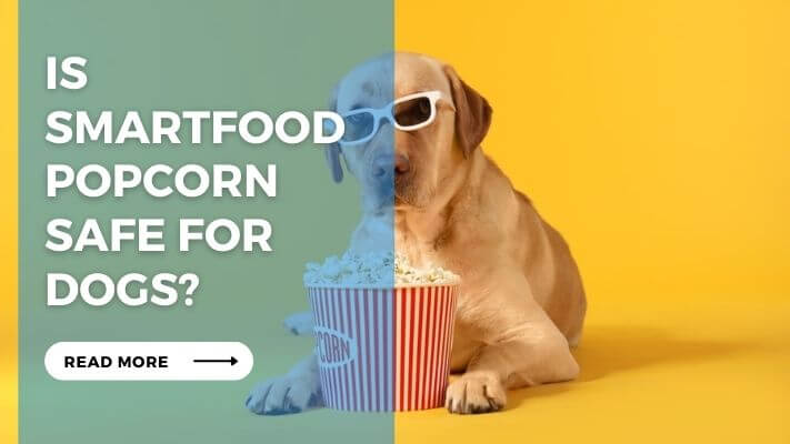 Is Smartfood Popcorn Safe for Dogs