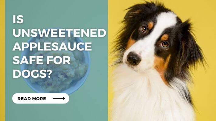 Is Unsweetened Applesauce Safe For Dogs