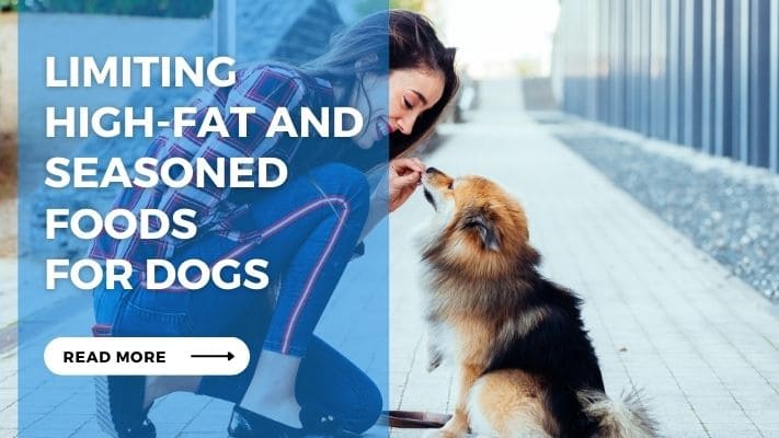 Limiting High-Fat and Seasoned Foods for Dogs