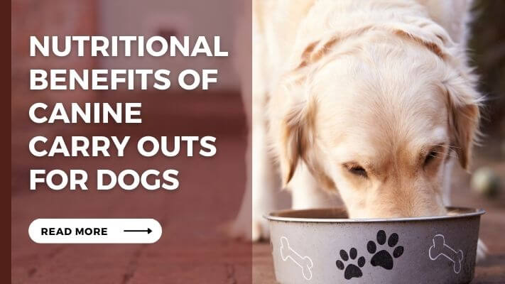 Nutritional Benefits of Canine Carry Outs for Dogs