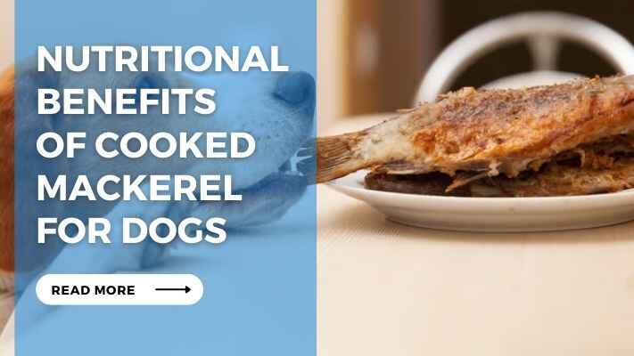 Nutritional Benefits of Cooked Mackerel for Dogs