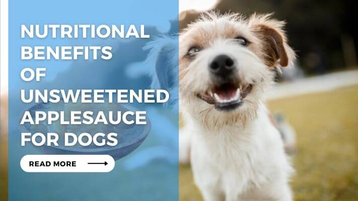 Nutritional Benefits of Unsweetened Applesauce for Dogs