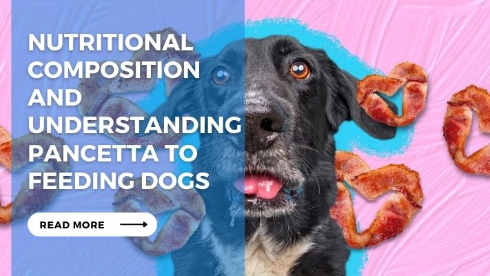 Nutritional Composition and Understanding Pancetta to Feeding Dogs