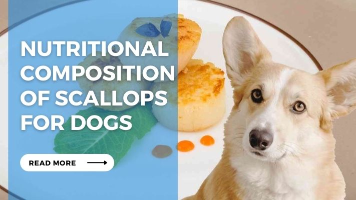 Nutritional Composition  of Scallops for Dogs