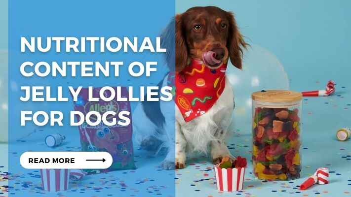 Nutritional Content of Jelly Lollies for Dogs