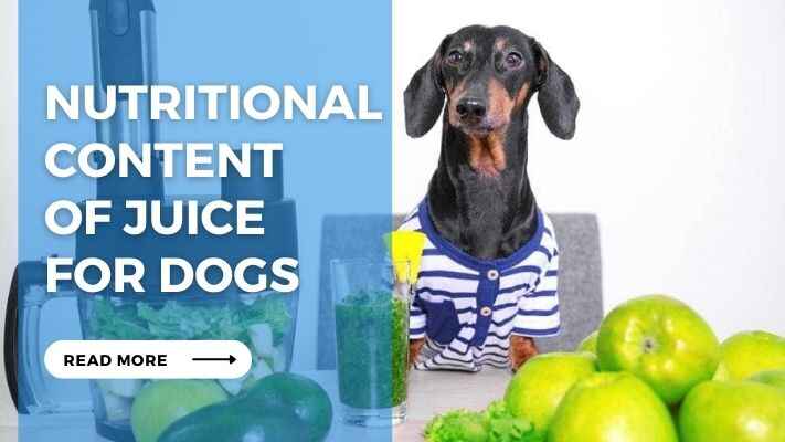 Nutritional Content of Juice for Dogs