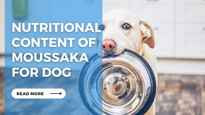 Nutritional Content of Moussaka for Dog