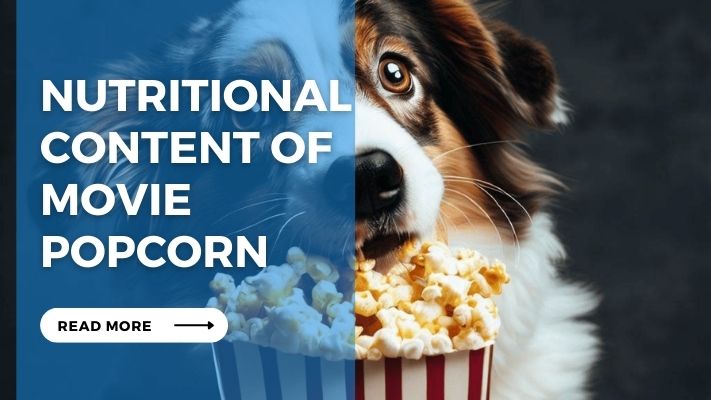 Nutritional Content of Movie Popcorn