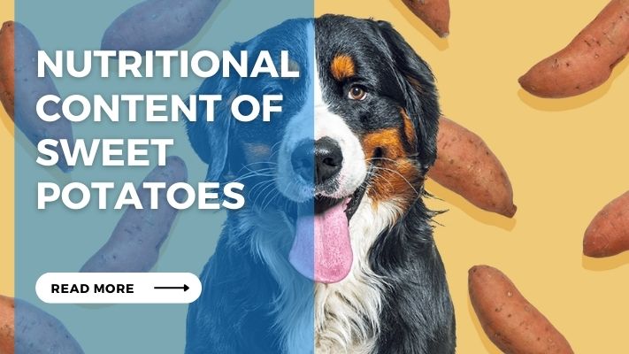 Nutritional Content of Sweet Potatoes