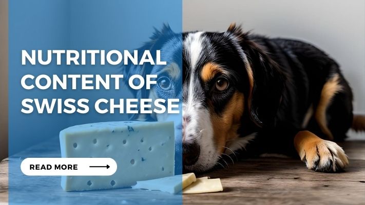 Nutritional Content of Swiss Cheese