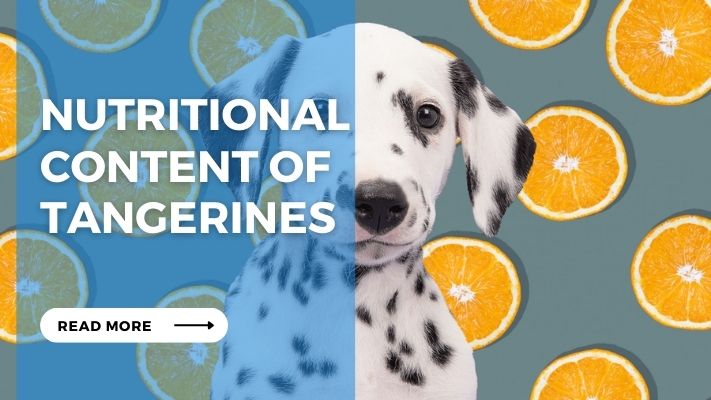 Nutritional Content of Tangerines