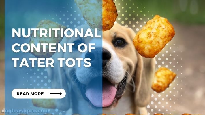 Nutritional Content of Tater Tots