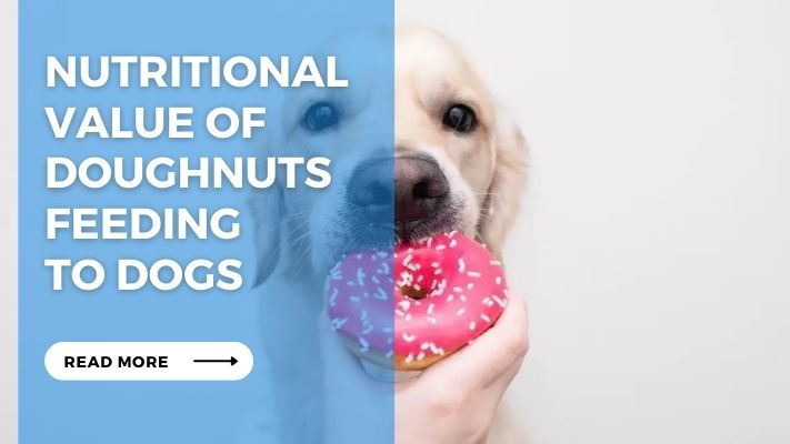 Nutritional Value of Doughnuts Feeding  to Dogs