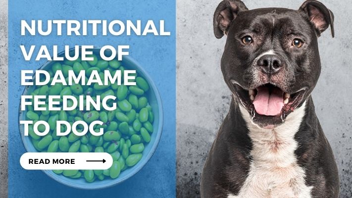 Nutritional Value of Edamame feeding  to dog