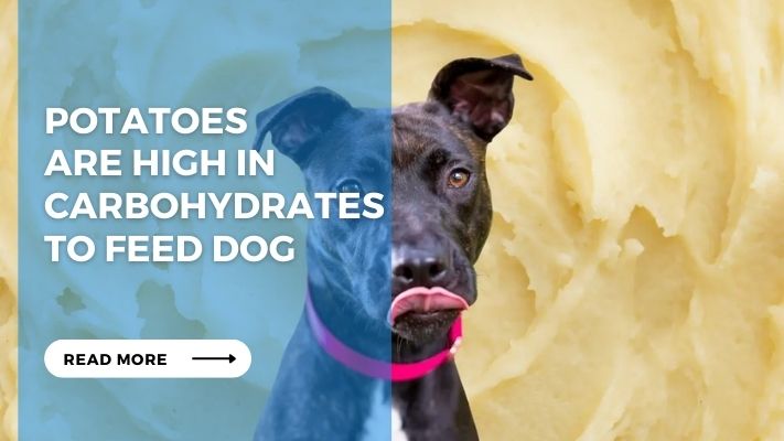 Potatoes  Are High in Carbohydrates to Feed Dog