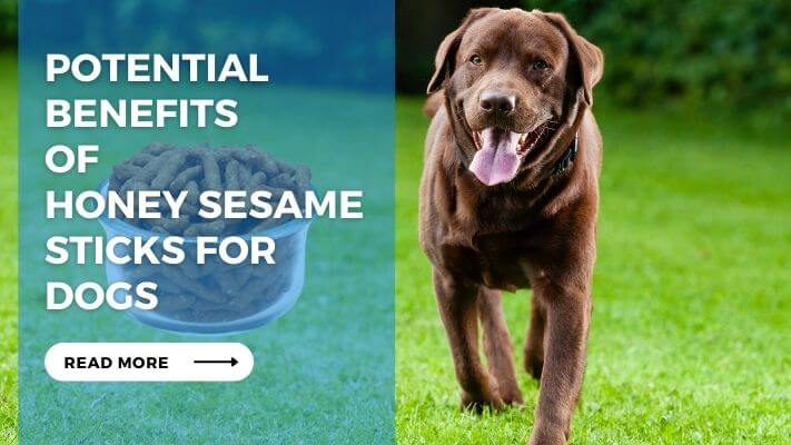 Potential Benefits of Honey Sesame Sticks for Dogs