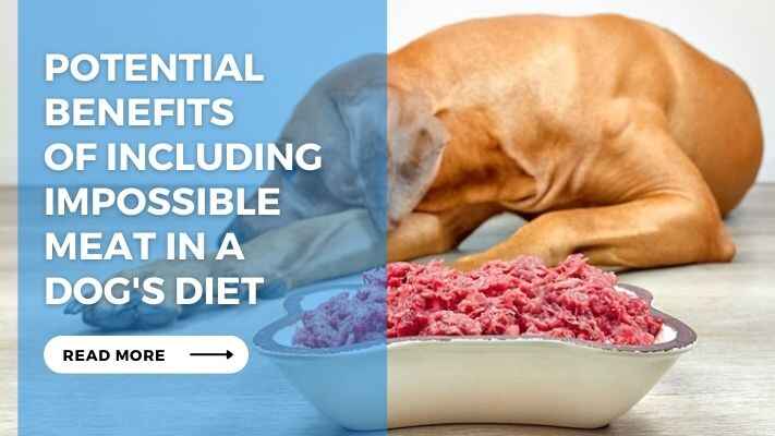 Potential Benefits of Including Impossible Meat in a Dogs Diet