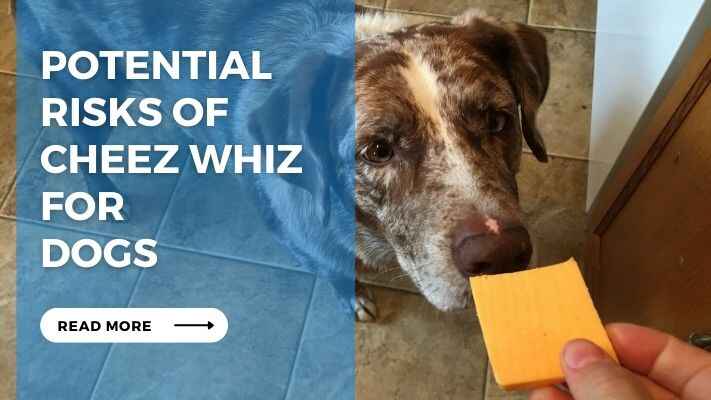 Potential Risks of Cheez Whiz for Dogs