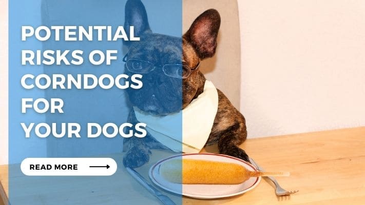 Potential Risks of Corndogs for Your Dogs