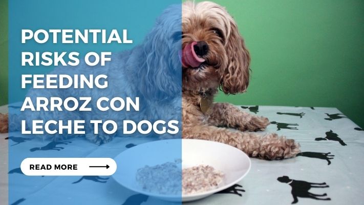 Potential Risks of Feeding Arroz Con Leche to Dogs