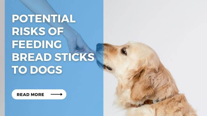 Potential Risks of Feeding Bread Sticks to Dogs