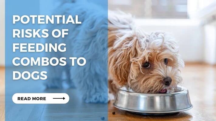 Potential Risks of Feeding Combos to Dogs