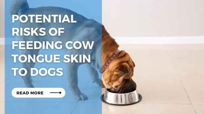 Potential Risks of Feeding Cow Tongue Skin to Dogs