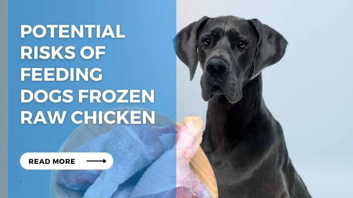 Potential Risks of Feeding Dogs Frozen Raw Chicken