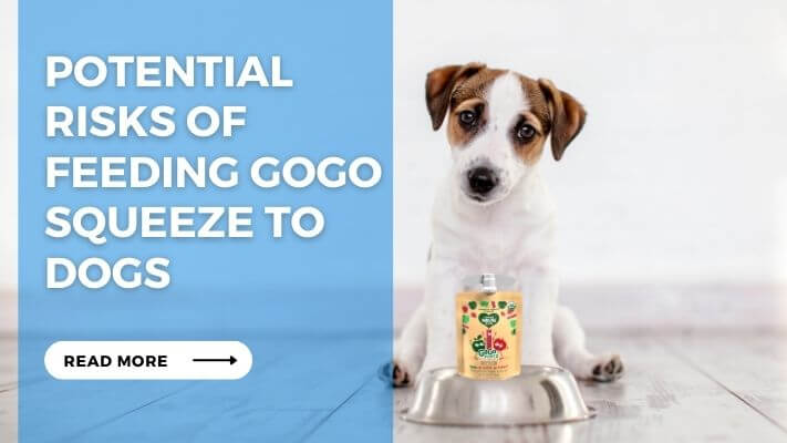 Potential Risks of Feeding Gogo Squeeze to Dogs