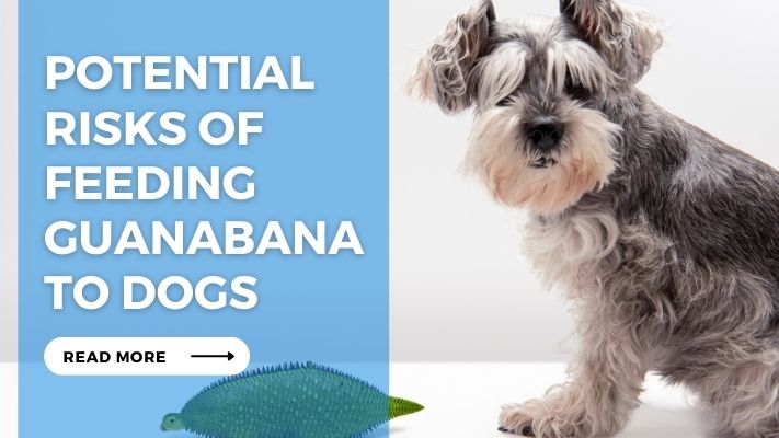 Potential Risks of Feeding Guanabana to Dogs