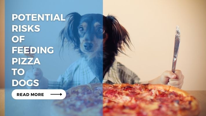 Potential Risks of Feeding Pizza to Dogs