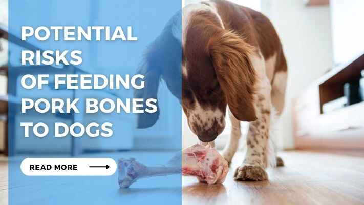 Potential Risks of Feeding Pork Bones to Dogs