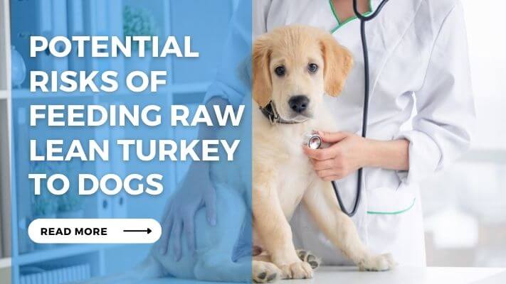 Potential Risks of Feeding Raw Lean Turkey to Dogs