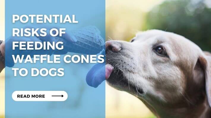 Potential Risks of Feeding Waffle Cones to Dogs