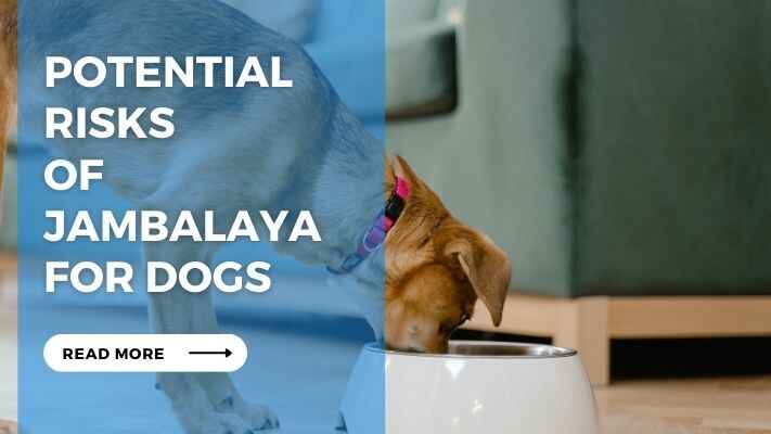 Potential Risks of Jambalaya for Dogs