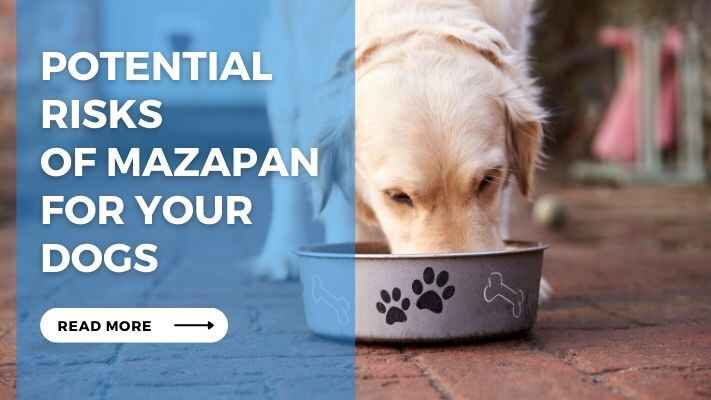 Potential Risks of Mazapan for Your Dogs