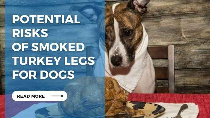 Potential Risks of Smoked Turkey Legs for Dogs