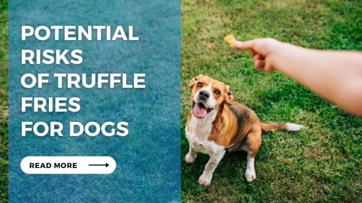 Potential Risks of Truffle Fries for Dogs