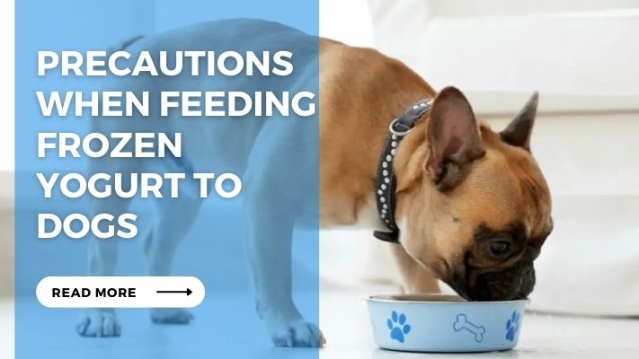 Precautions When Feeding Frozen Yogurt to Dogs