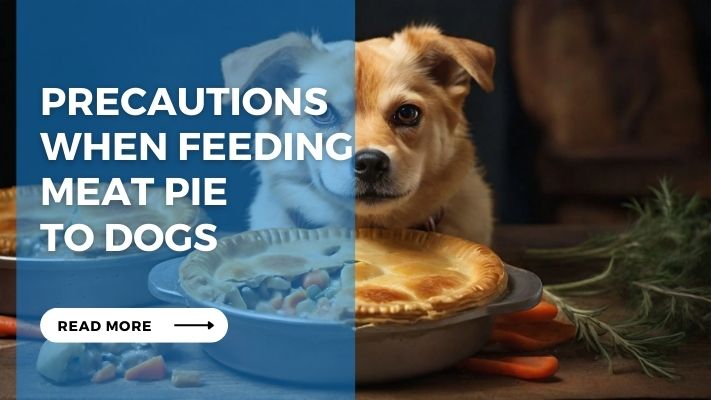 Precautions When Feeding Meat Pie to Dogs