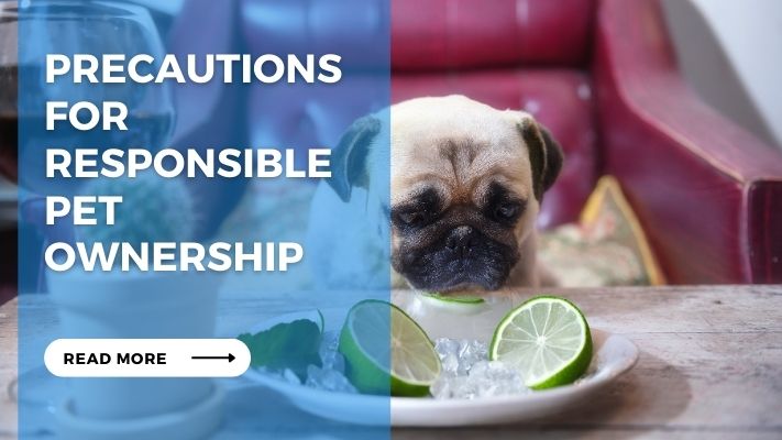 Precautions for Responsible Pet Ownership