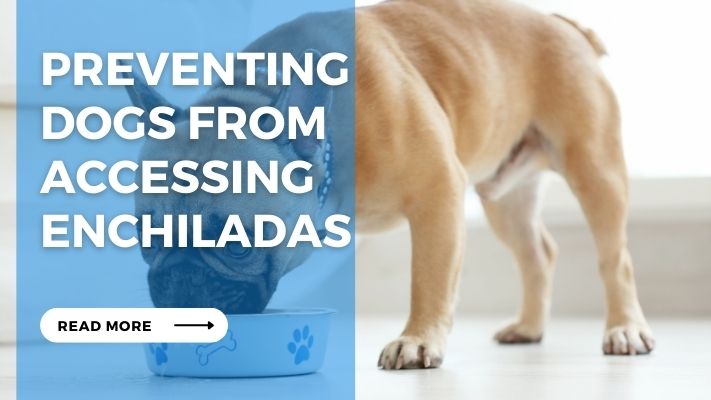 Preventing  Dogs from Accessing Enchiladas