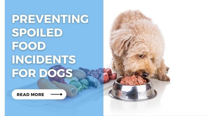 Preventing Spoiled Food Incidents for Dogs