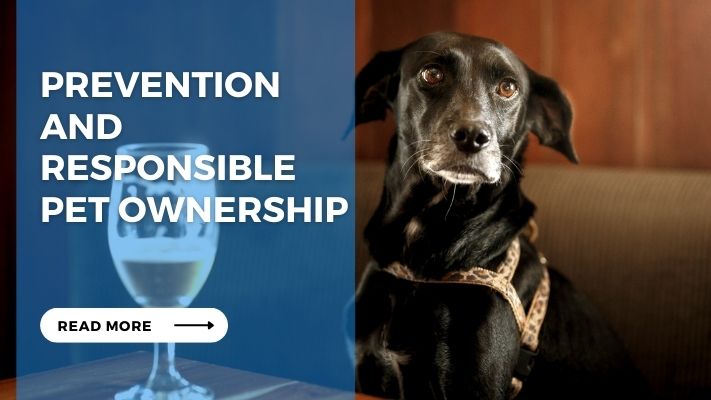 Prevention and Responsible Pet Ownership