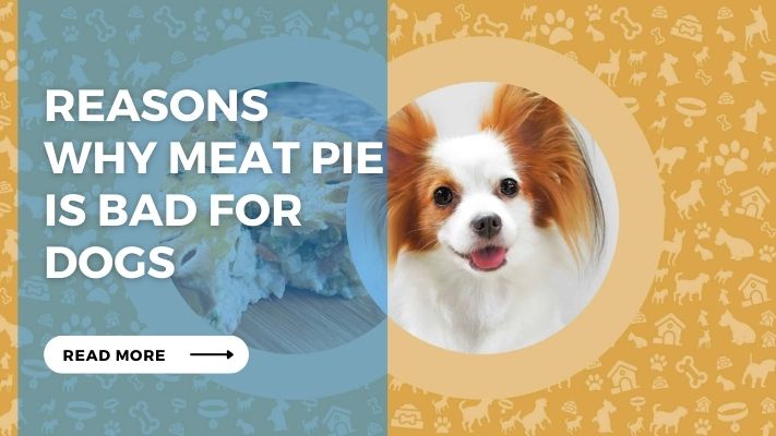 Reasons Why Meat Pie is Bad for Dogs