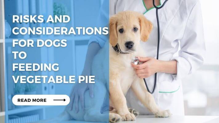 Risks and Considerations for Dogs to Feeding Vegetable Pie